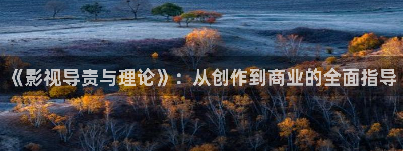 88影视网致我们暖暖的小时光：《影视导责与理论》：从创作到商业的全面指导