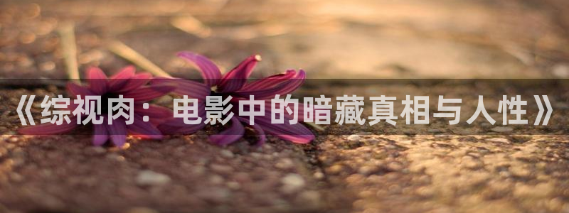 88影视网ys：《综视肉：电影中的暗藏真相与人性》
