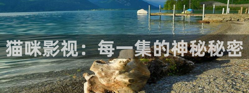 888影视网.：猫咪影视：每一集的神秘秘密