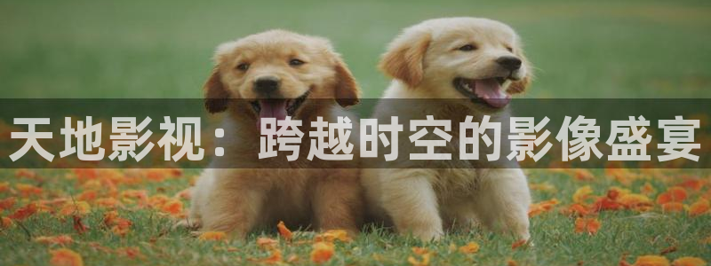 88影视网电视剧大全在线观看：天地影视：跨越时空的影像盛宴