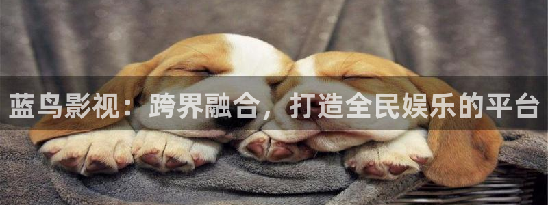 7788影院免费观看电视剧大全：蓝鸟影视：跨界融合，打造全民娱乐的平台