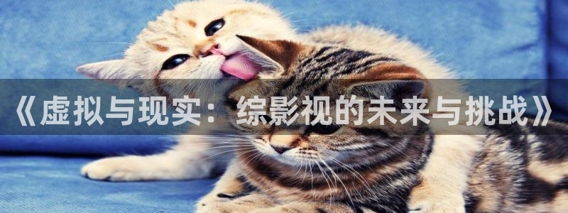 88影视app免费的电视剧：《虚拟与现实：综影视的未来与挑战》