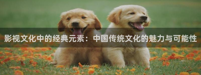 88影视下载：影视文化中的经典元素：中国传统文化的魅力与可能性