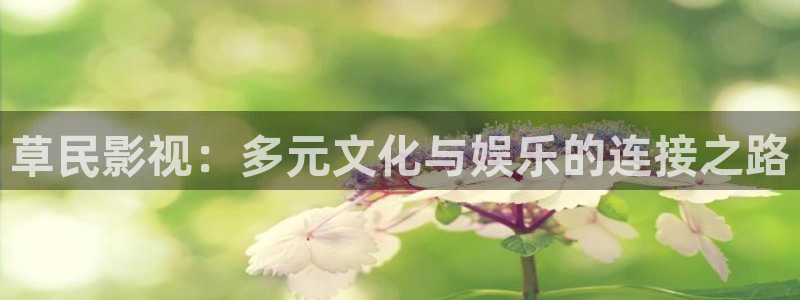 dy88影视神马电影院：草民影视：多元文化与娱乐的连接之路
