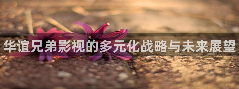 色88影院：华谊兄弟影视的多元化战略与未来展望