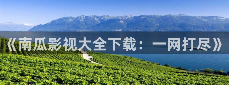 88影视网 在线：《南瓜影视大全下载：一网打尽》