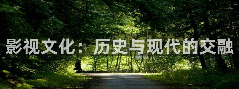 新88影视大全：影视文化：历史与现代的交融