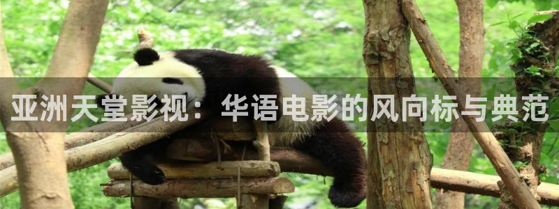 888影院免费观看电视剧大全在线观看：亚洲天堂影视：华语电影的风向标与典范