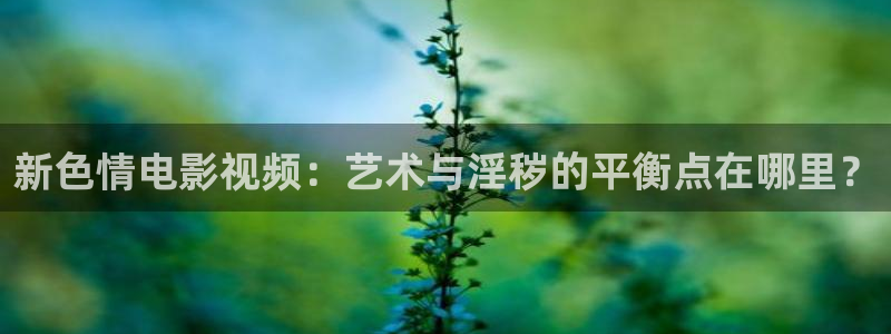 88影视免费观看电视剧：新色情电影视频：艺术与淫秽的平衡点在哪里？