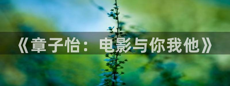 88影视网在线下载：《章子怡：电影与你我他》